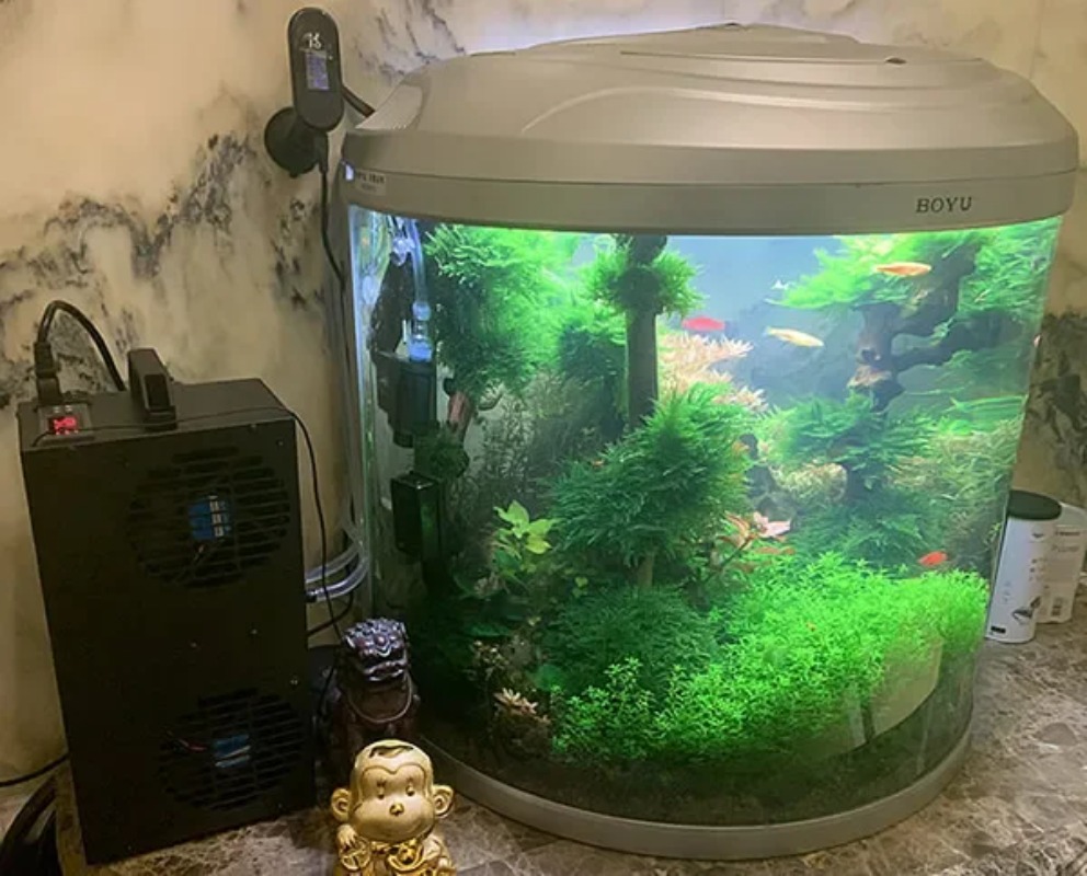 Aquarium Fish Small - Frigorifero a semiconduttore regolabile a temperatura