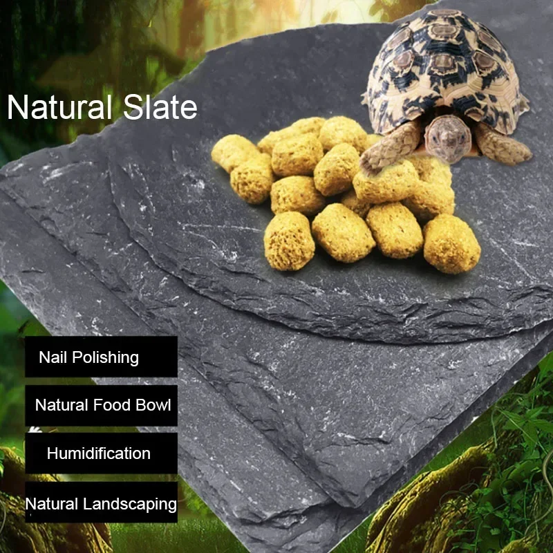 Aquarium Fish Food - Natural Slate Aquarium Pet rettile Feeder