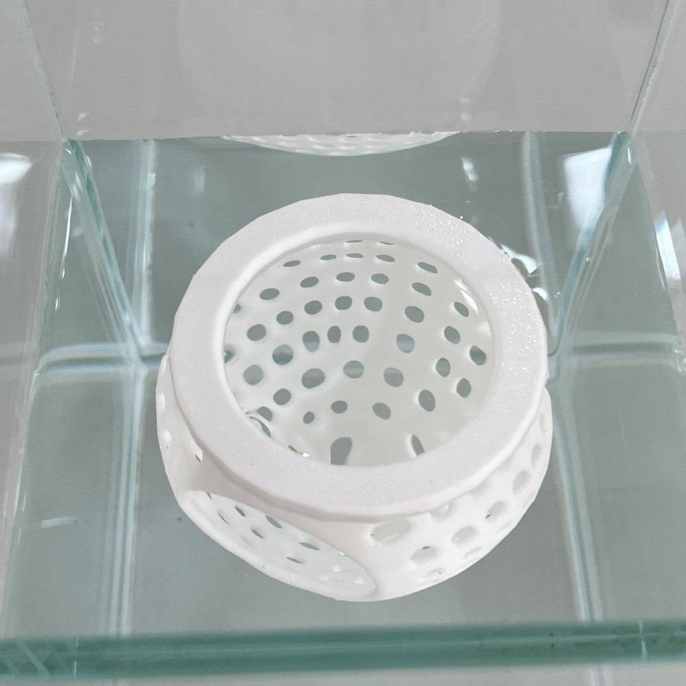 Aquarium Fish Food - Piattaforme di Riposo Galleggianti per Pesci