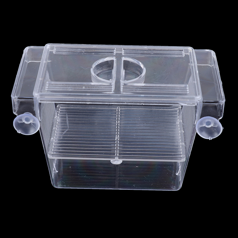 Aquarium Fish Jar - Acquario acquario acquario Guppy doppio allevamento