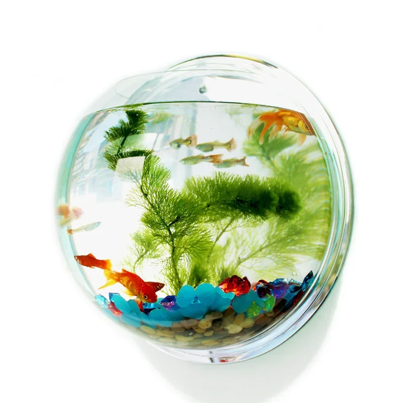Aquarium Fish Jar - Pinsjar Ciotola per pesci in acrilico