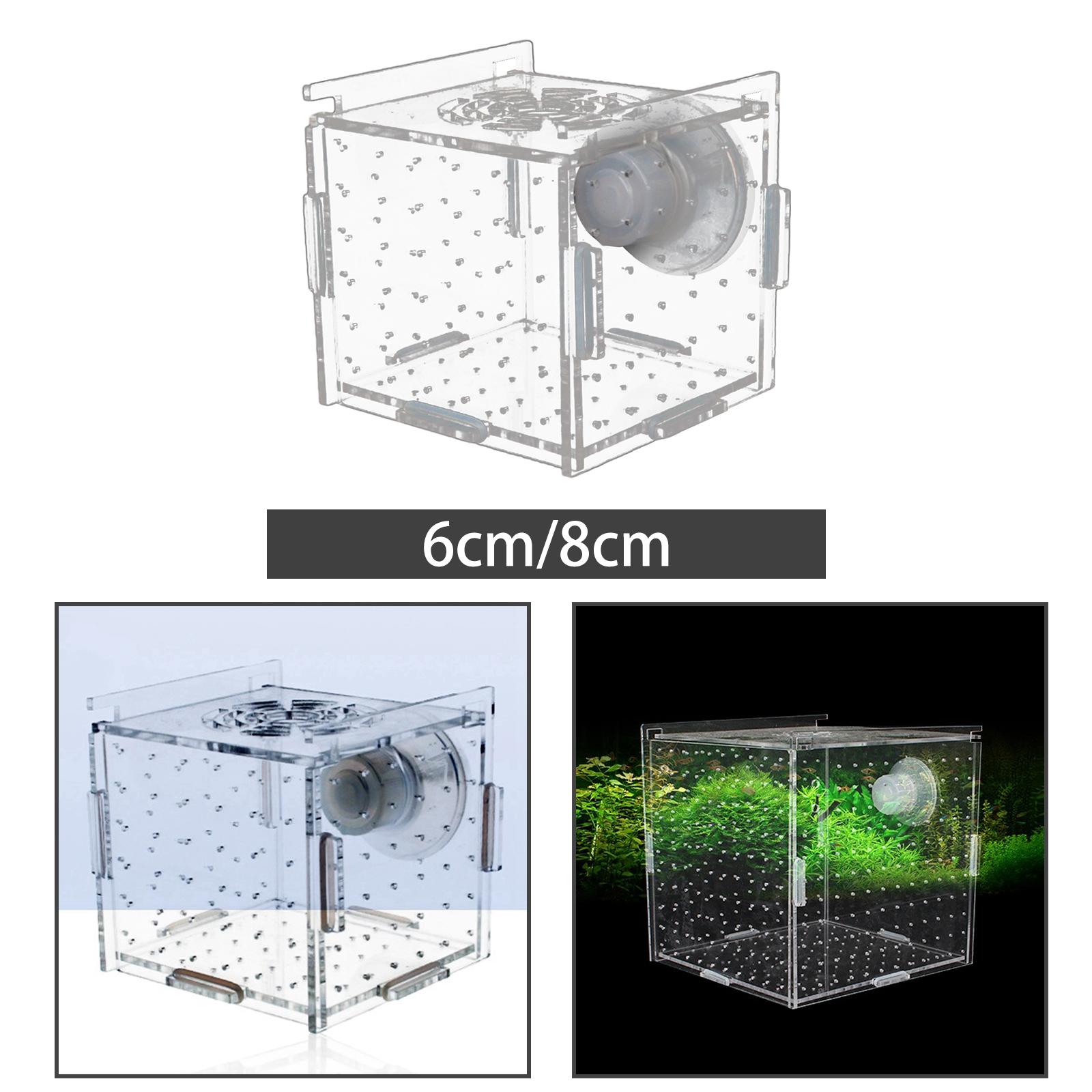 Aquarium Fish Jar - Scatola per allevamento di pesci Trasparente