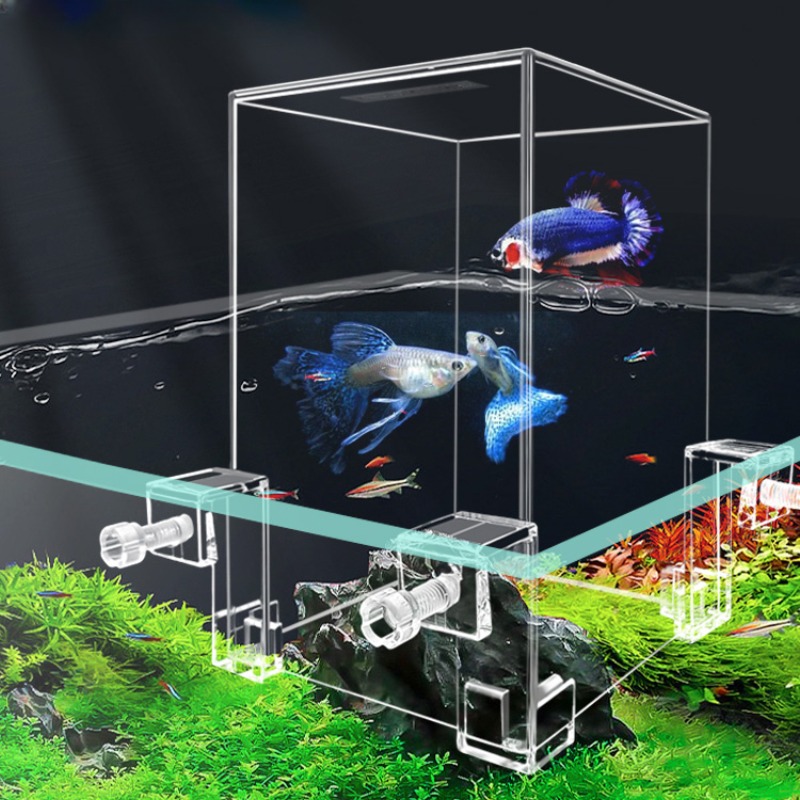 Aquarium Fish Jar - Serbatoi per acquari creativi serbatoio per