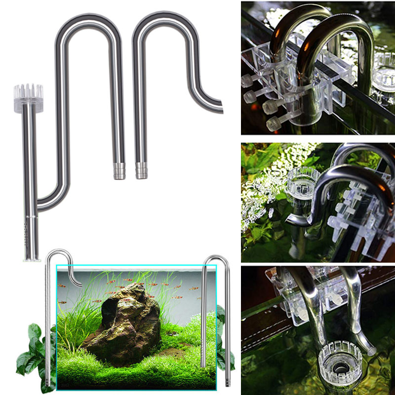 Aquarium Fish Images - Nuovo filtro di deflusso di afflusso