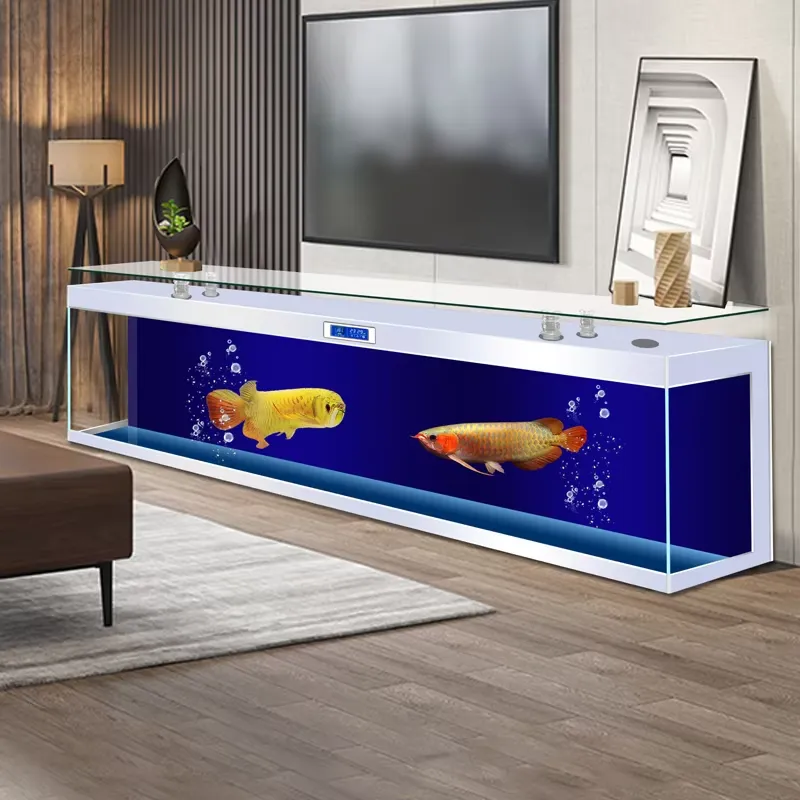 Aquarium Fish Low Maintenance - Acquario Quadrato da Terra di Grandi