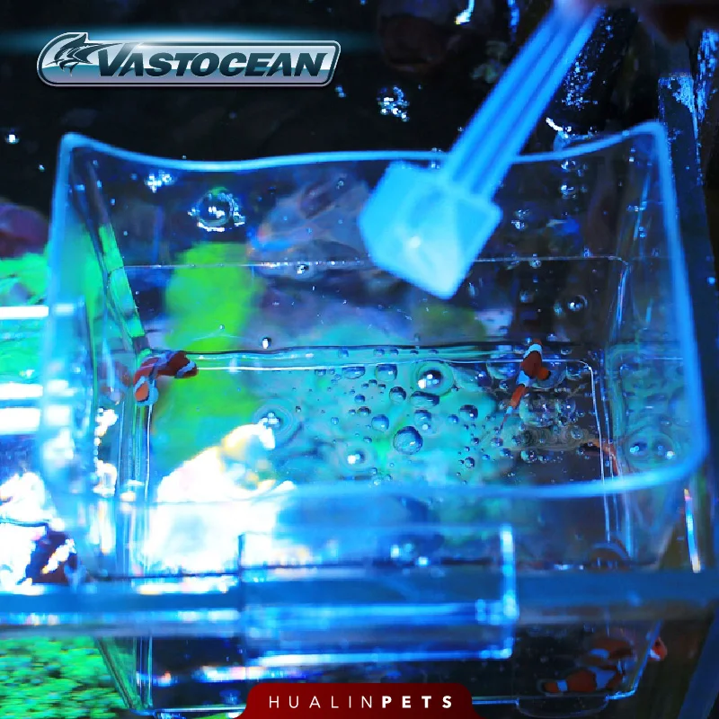 Vastocean Acquario Cassetta de - Aquarium Fish Jar recensione e prezzo