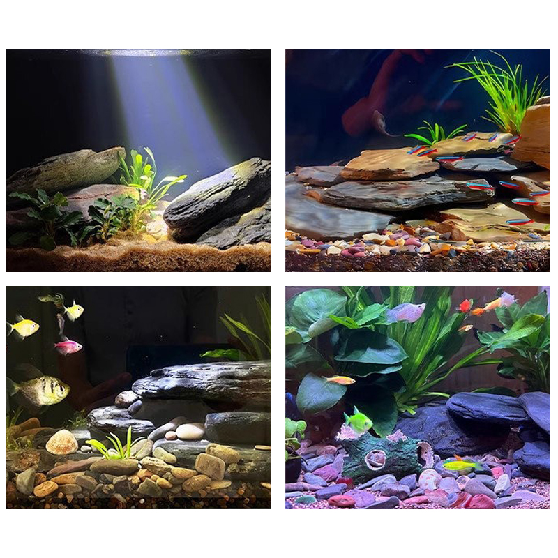 Kit di Pietre per Acquario 500 - Aquarium Fish Saltwater recensione e prezzo