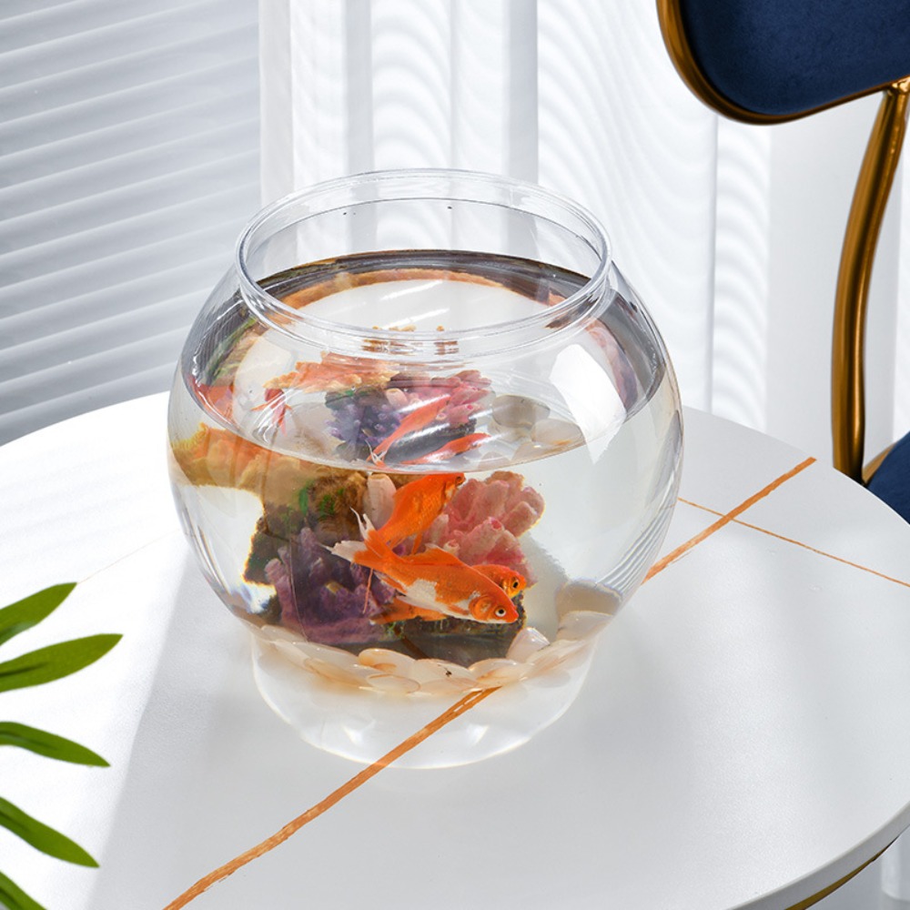 Acquario da tavolo rotondo tra - Aquarium Fish Jar recensione e prezzo