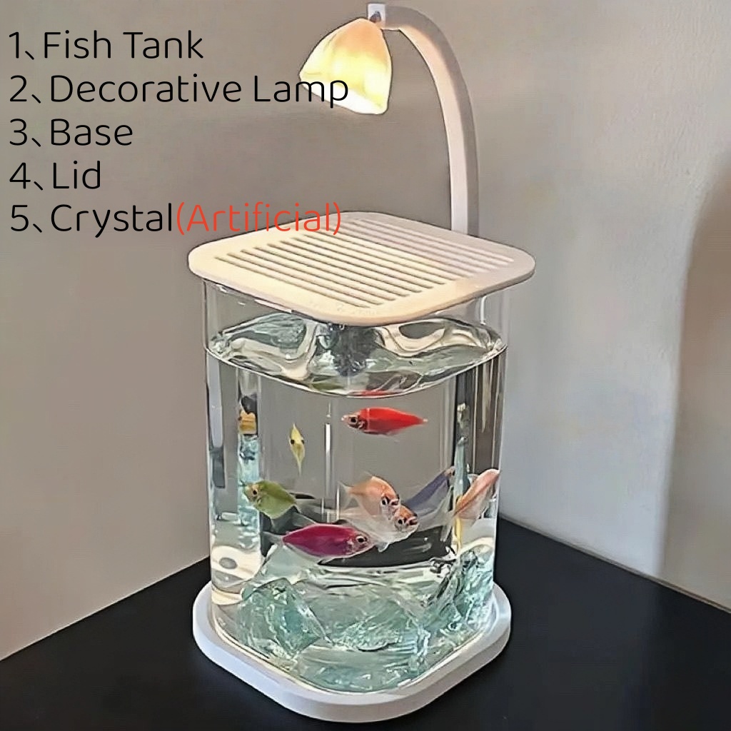 Acquario da tavolo a LED senza - Aquarium Fish Low Maintenance recensione e prezzo