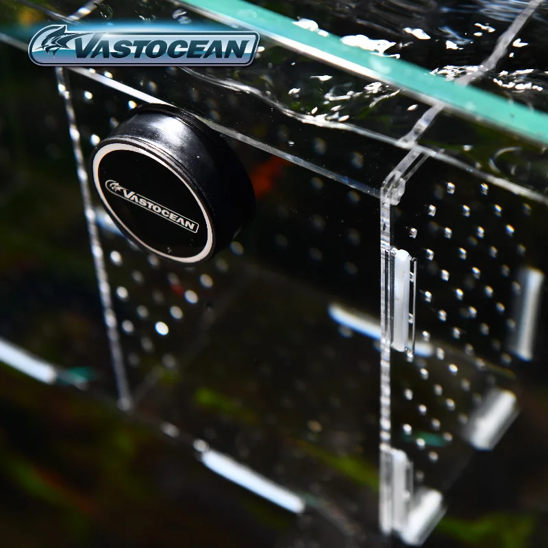 VASTOCEAN Acquario Magnetico C - Aquarium Fish Jar recensione e prezzo
