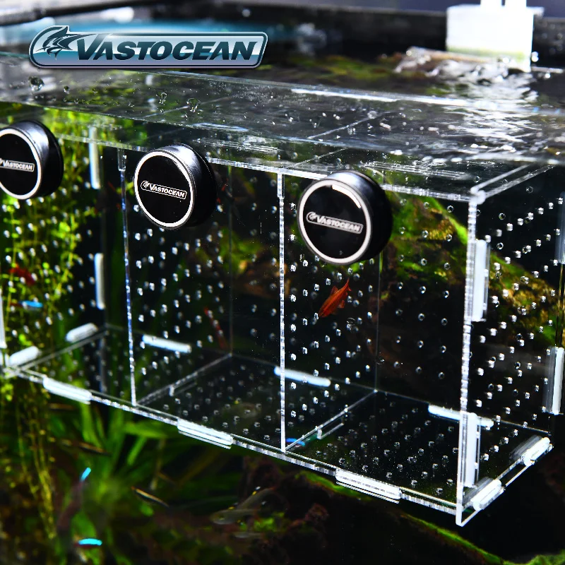VASTOCEAN Acquario Magnetico C - Aquarium Fish Jar recensione e prezzo