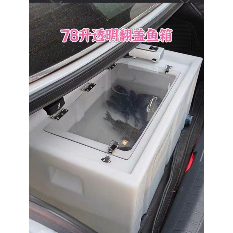 Contenitore per pesci vivi da  - Aquarium Fish Small recensione e prezzo