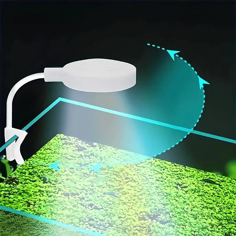 Luce per acquario con adattato - Aquarium Fish Small recensione e prezzo