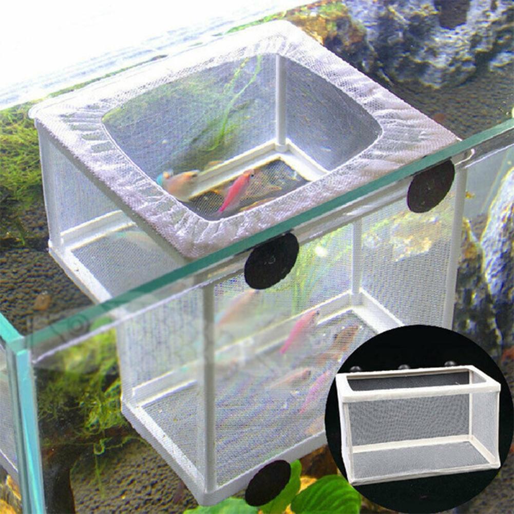 Scatola per Allevamento Pesci  - Aquarium Fish Jar recensione e prezzo