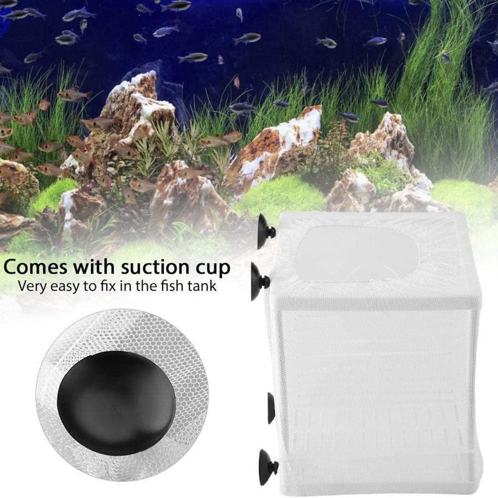 Scatola per Allevamento Pesci  - Aquarium Fish Jar recensione e prezzo