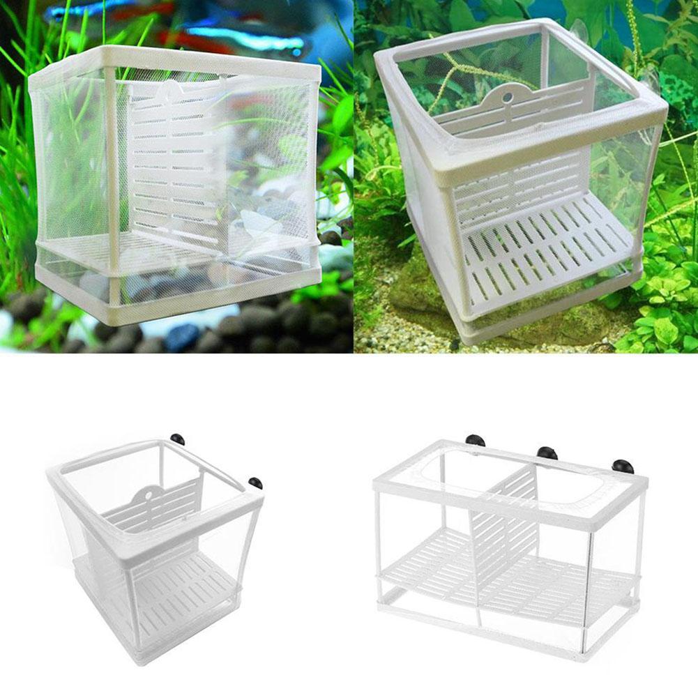 Scatola per Allevamento Pesci  - Aquarium Fish Jar recensione e prezzo