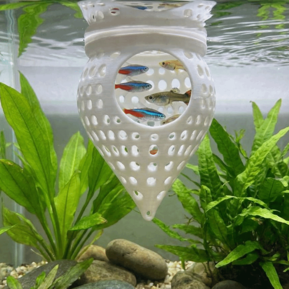 Piattaforme di Riposo Galleggi - Aquarium Fish Food recensione e prezzo