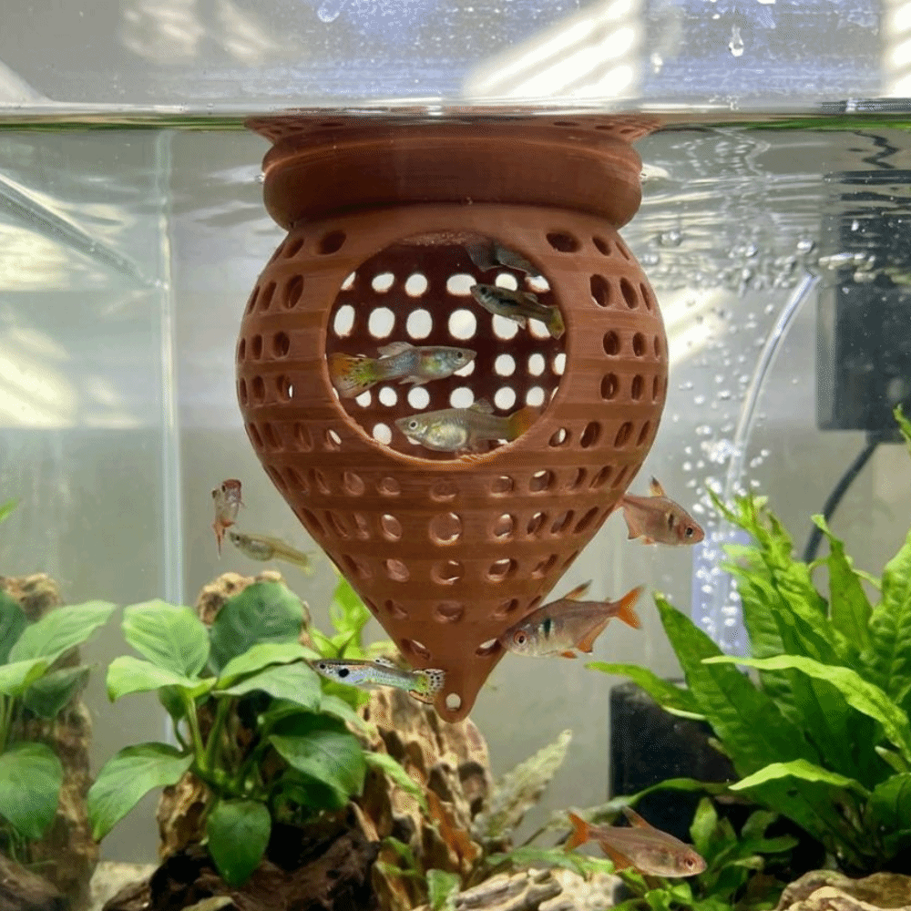 Piattaforme di Riposo Galleggi - Aquarium Fish Food recensione e prezzo