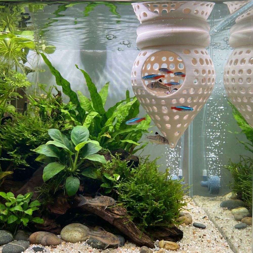 Piattaforme di Riposo Galleggi - Aquarium Fish Food recensione e prezzo