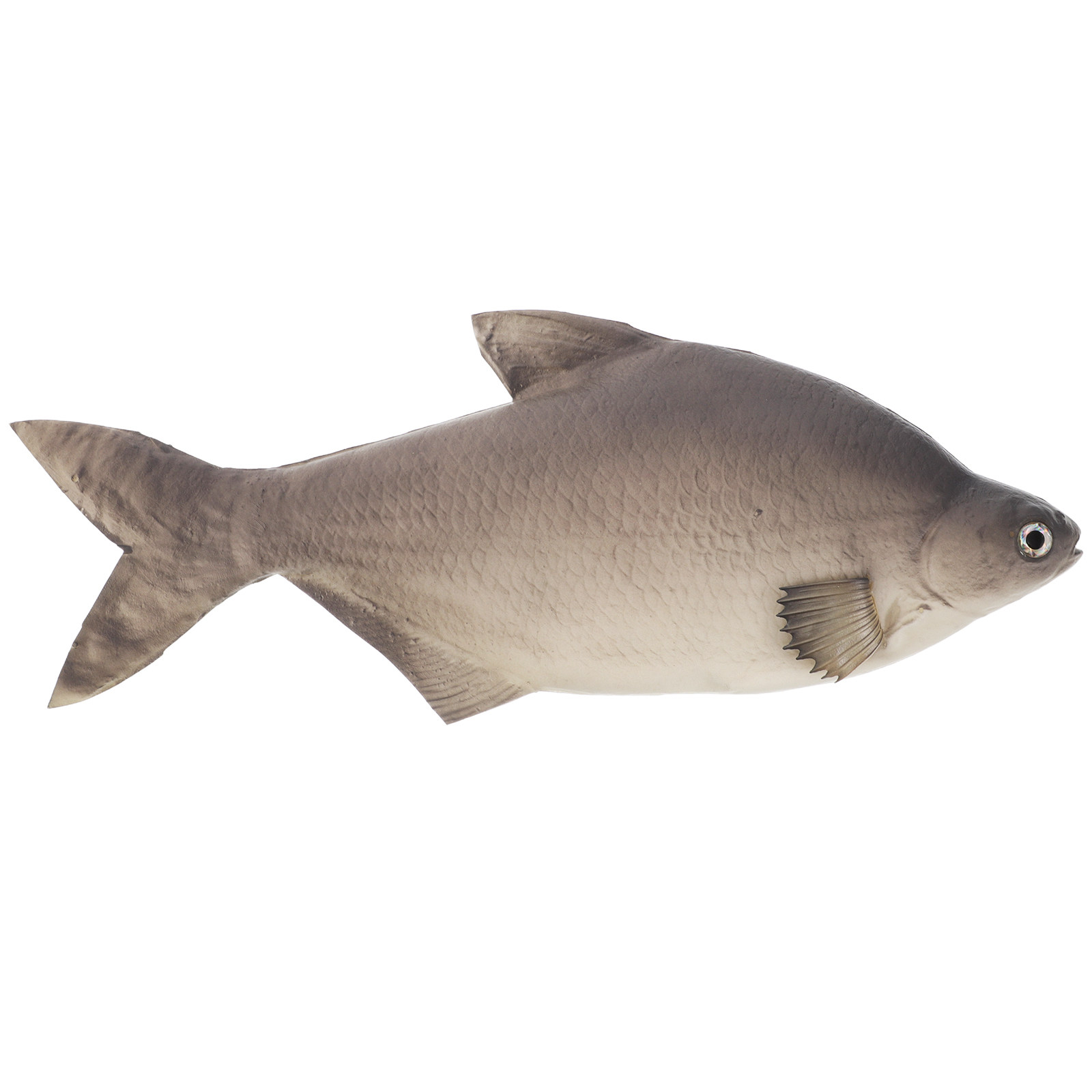 Pesce Artificiale Dettagliato  - Aquarium Fish Market recensione e prezzo