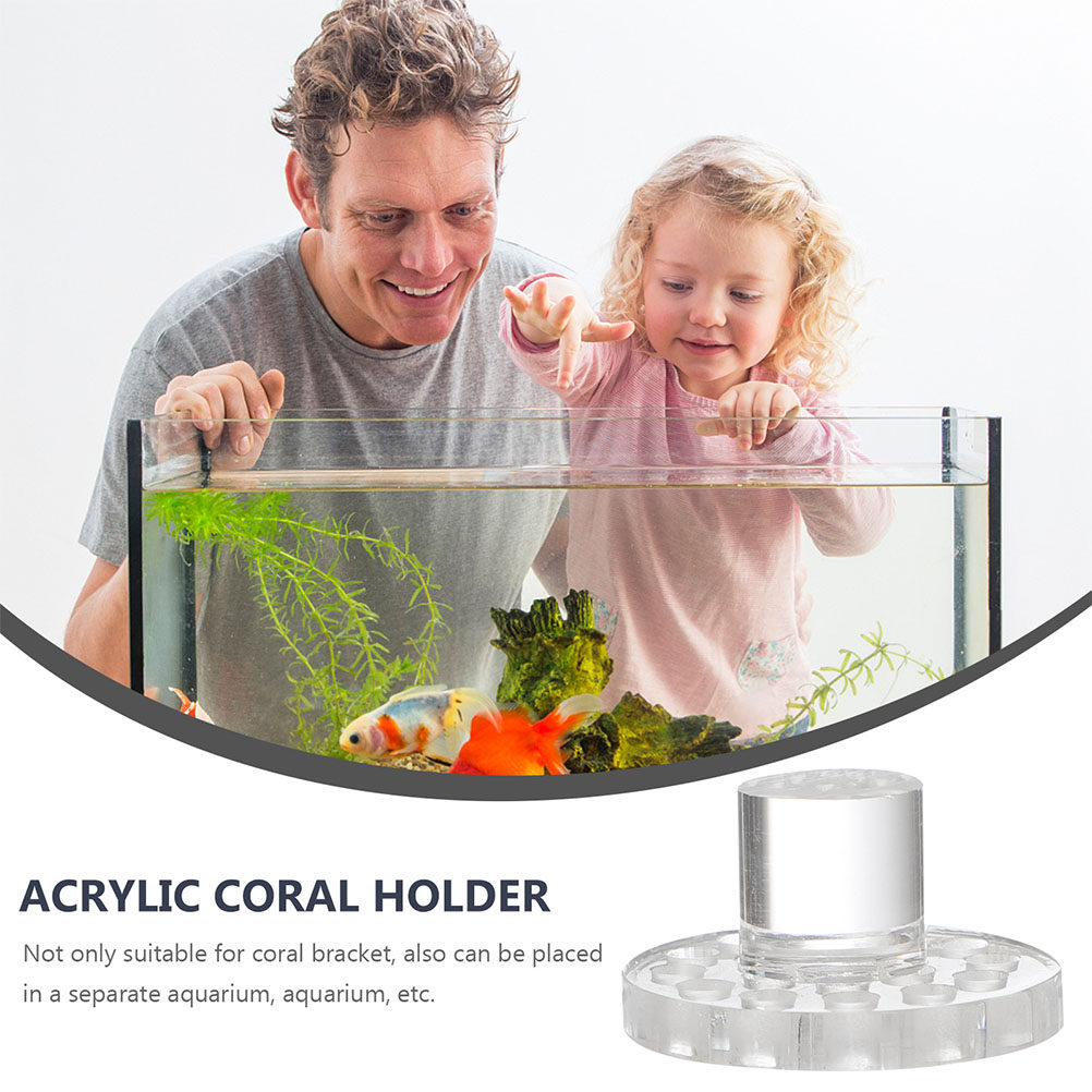 10 Pezzi Base Rotonda Traspare - Aquarium Fish And Supplies recensione e prezzo