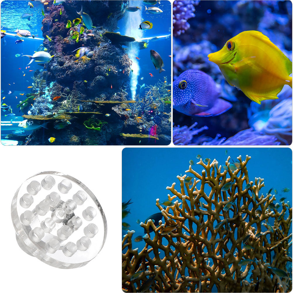 10 Pezzi Base Rotonda Traspare - Aquarium Fish And Supplies recensione e prezzo
