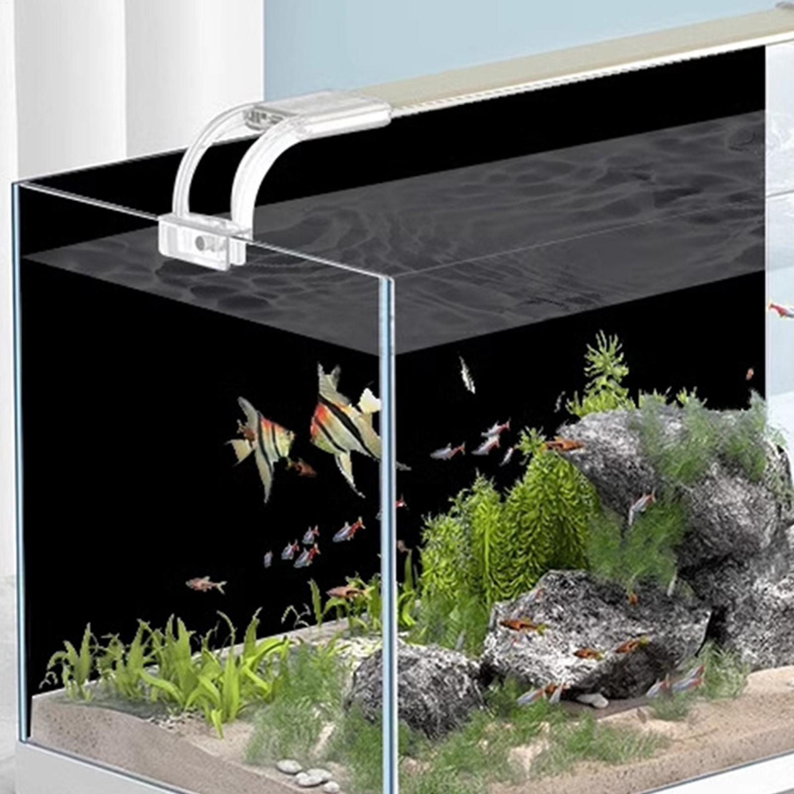 Sfondo Nero per Acquario in PV - Aquarium Fish Black recensione e prezzo