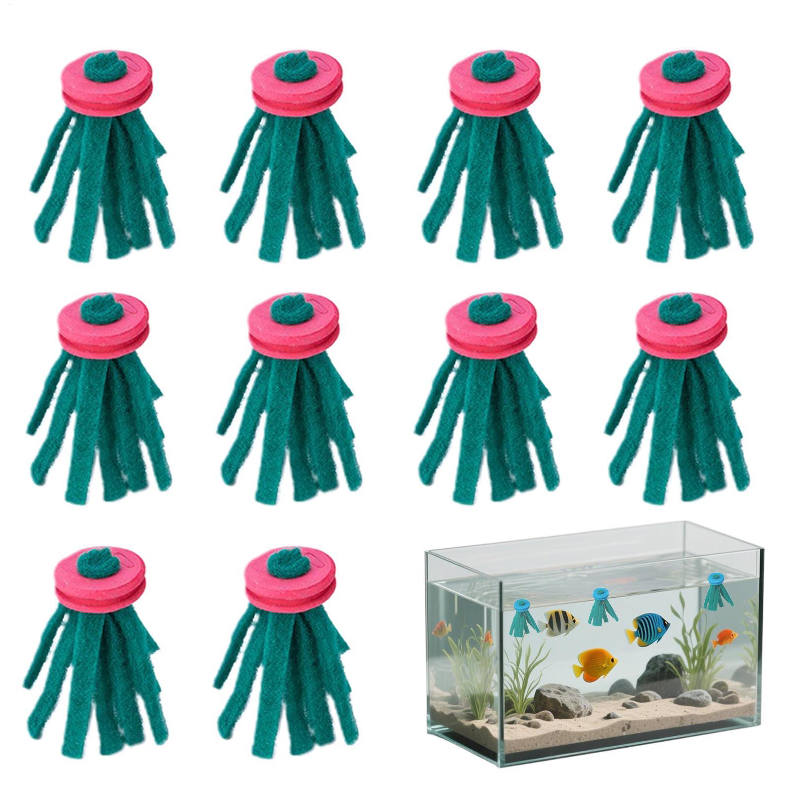 10 Pezzi Mop Decorativo per Ri - Aquarium Fish Food recensione e prezzo