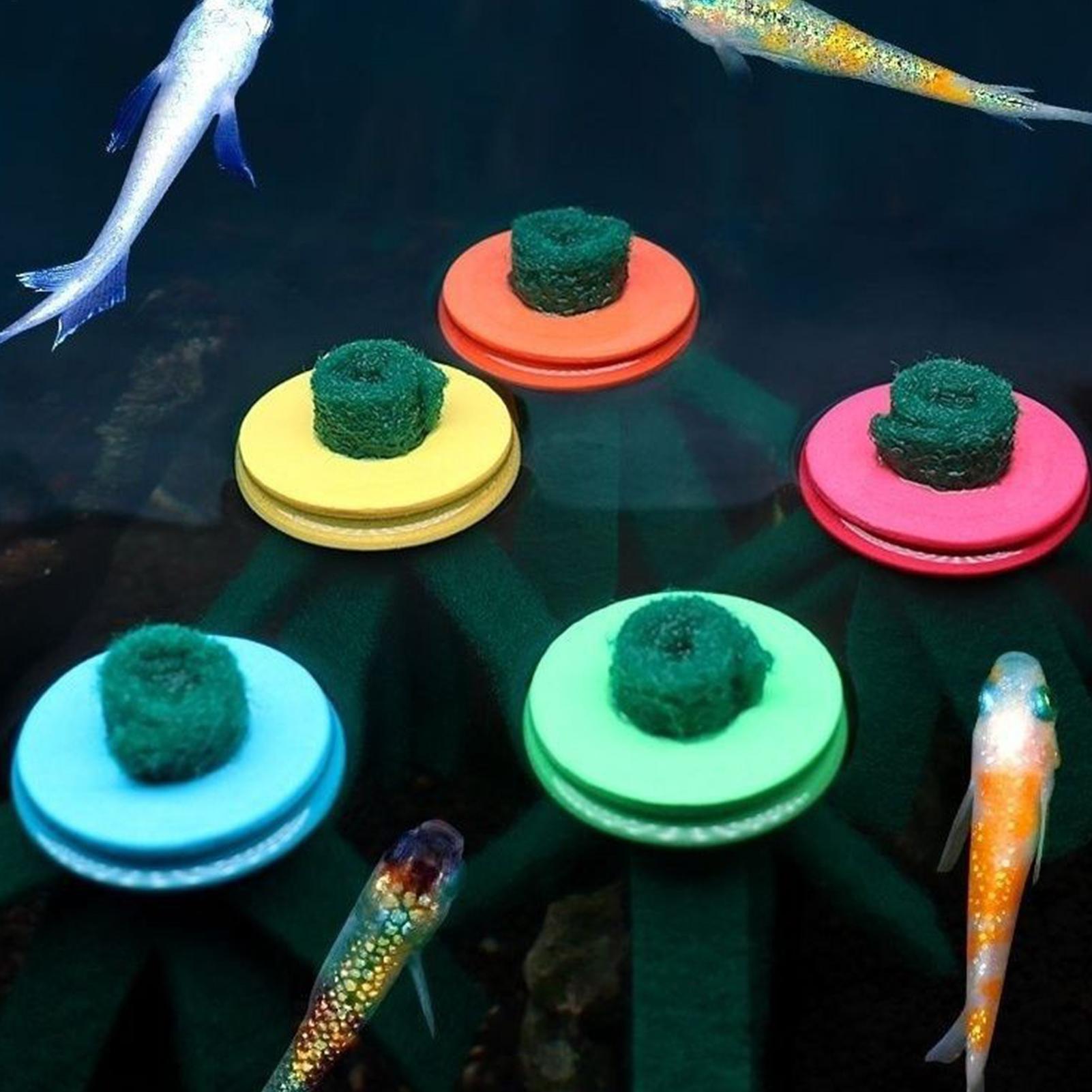 10 Pezzi Mop Decorativo per Ri - Aquarium Fish Food recensione e prezzo