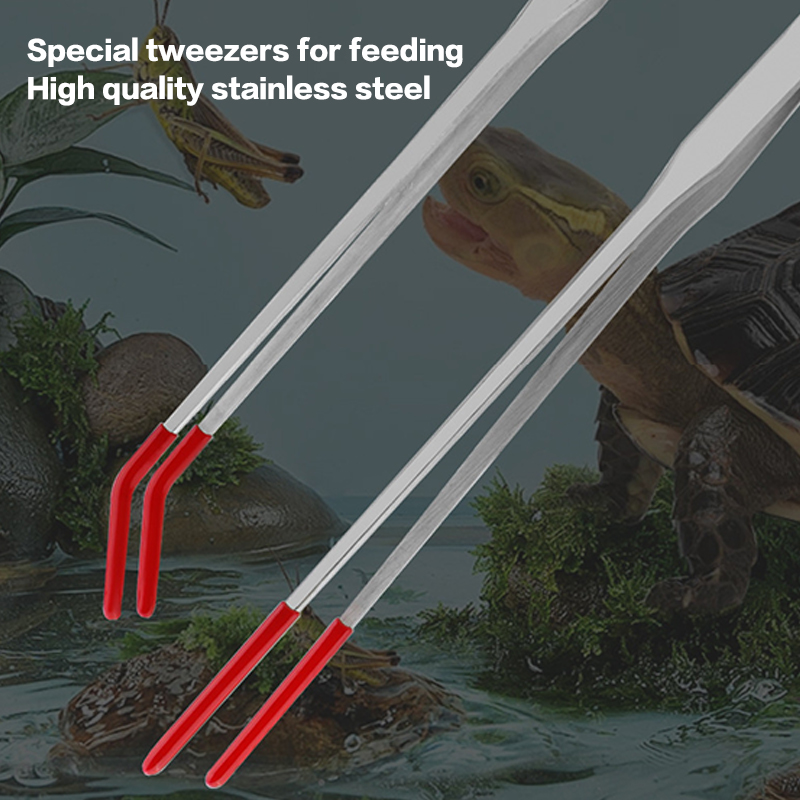 Strumenti per la Manutenzione  - Aquarium Fish Food recensione e prezzo