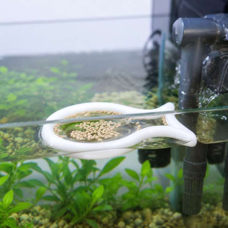 Anello Galleggiante a Forma di - Aquarium Fish Food recensione e prezzo