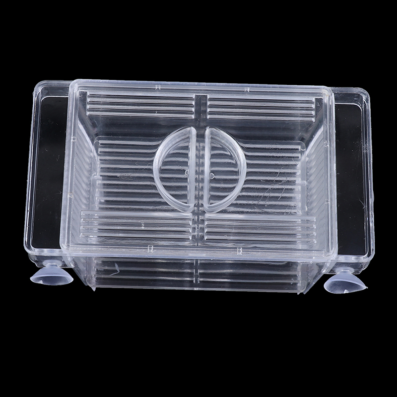 Acquario acquario acquario Gup - Aquarium Fish Jar recensione e prezzo