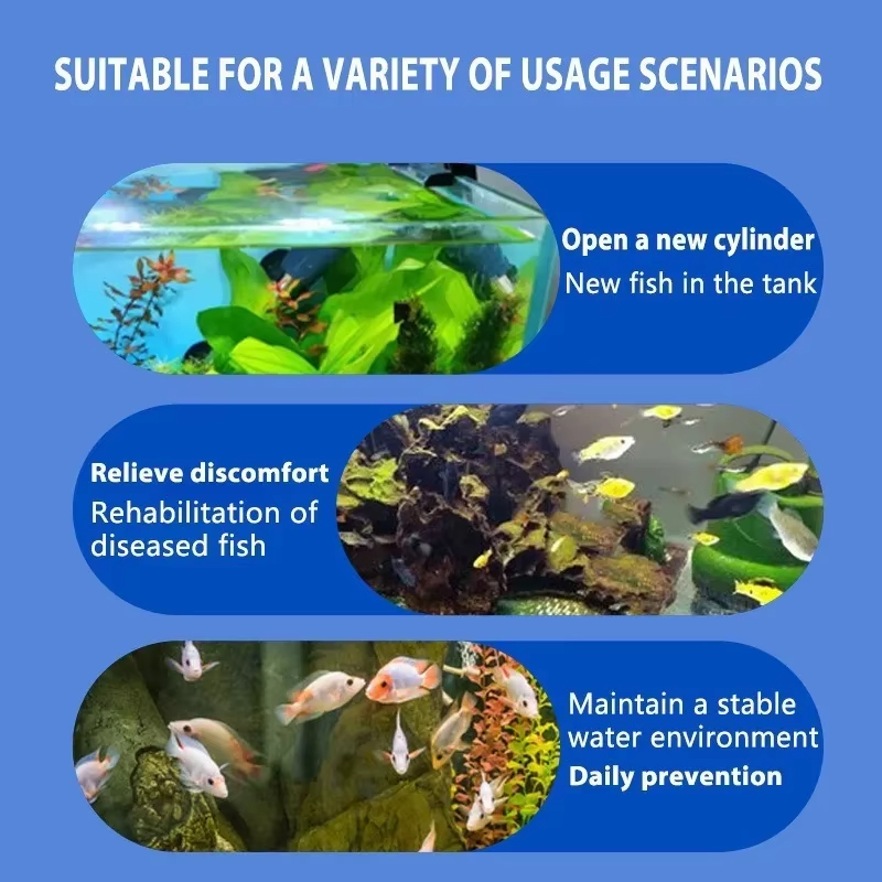 SIKEZHAN Trattamento malattie  - Aquarium Fish Saltwater recensione e prezzo