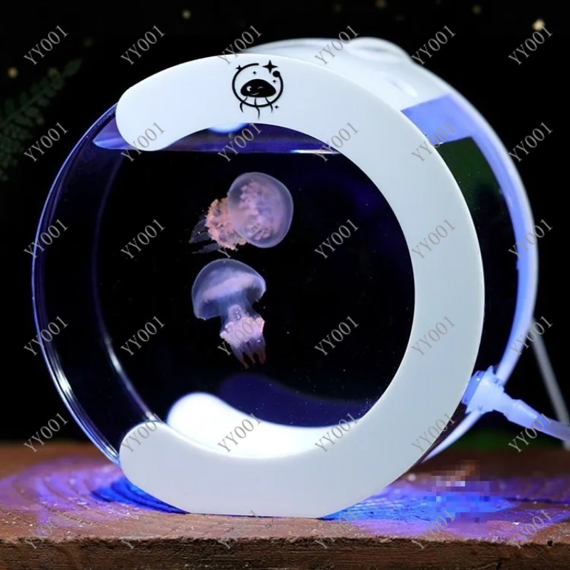 Acquario da Tavolo Circolante  - Aquarium Fish Small recensione e prezzo
