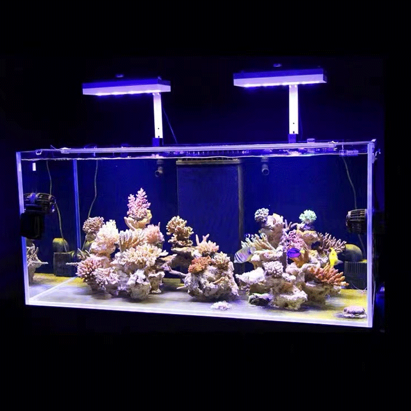 Luce LED Aqua Illumination AI  - Aquarium Fish Black recensione e prezzo