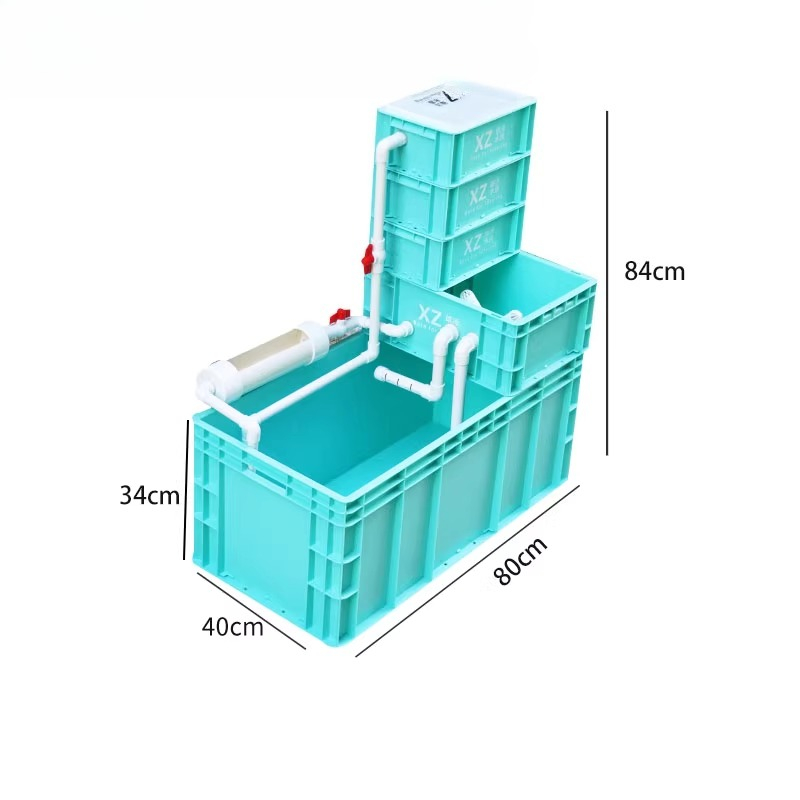 Acquario per Tartarughe con Fi - Aquarium Fish Low Maintenance recensione e prezzo