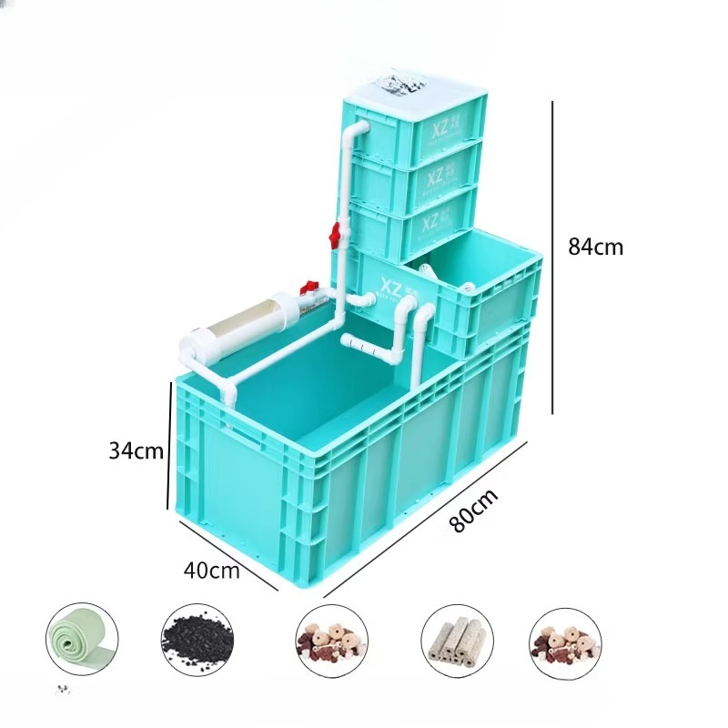 Acquario per Tartarughe con Fi - Aquarium Fish Low Maintenance recensione e prezzo