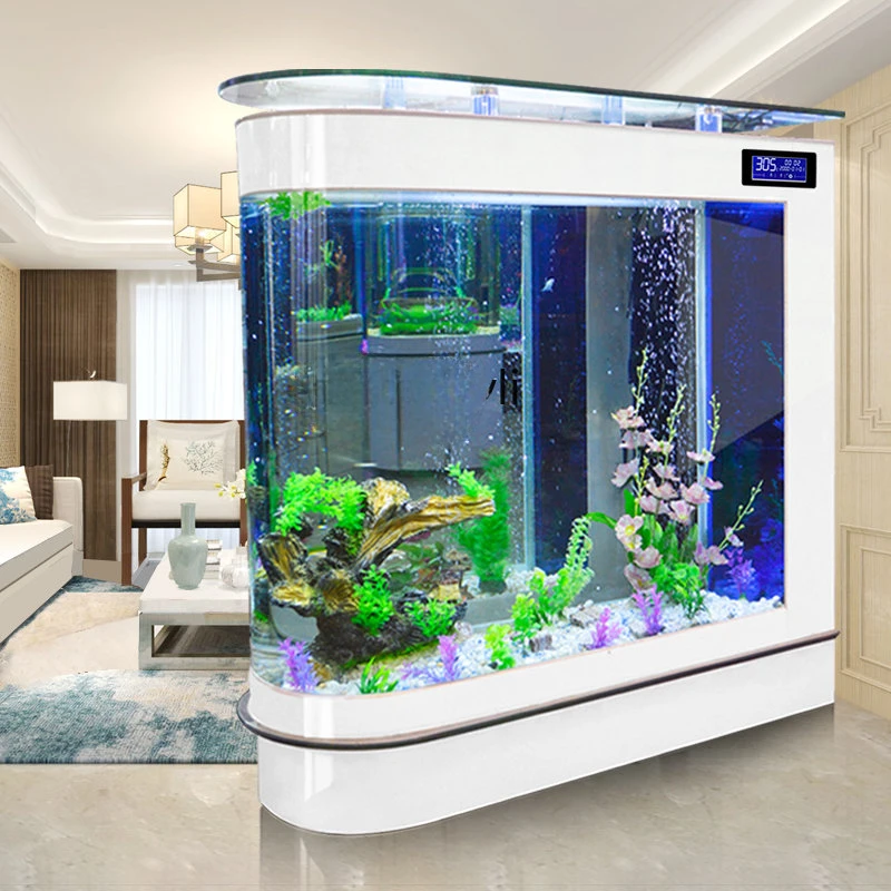 Un acquario per acquario a pro - Aquarium Xxl recensione e prezzo