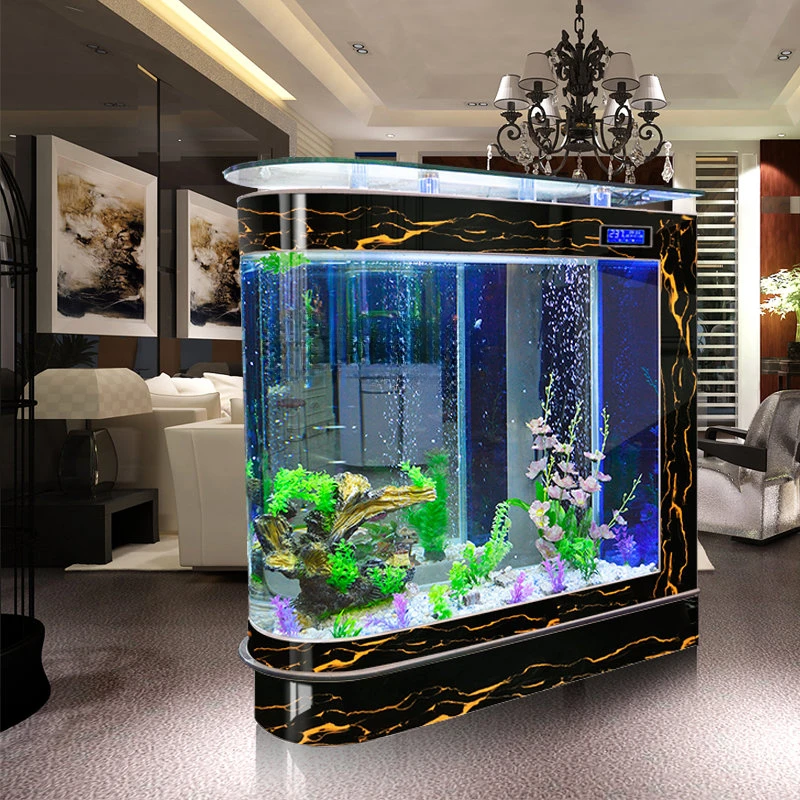 Un acquario per acquario a pro - Aquarium Xxl recensione e prezzo