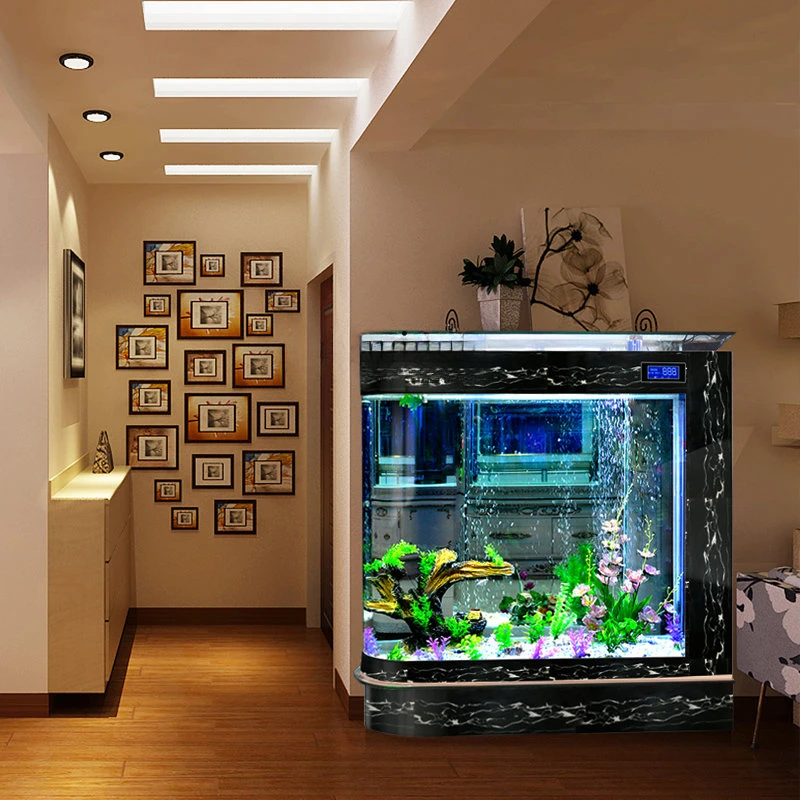 Un acquario per acquario a pro - Aquarium Xxl recensione e prezzo