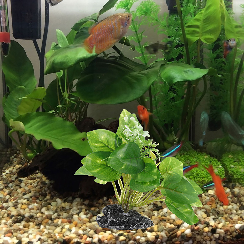 2 Pezzi di Piante Acquatiche F - Aquarium Fish Low Maintenance recensione e prezzo