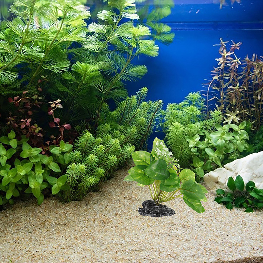 2 Pezzi di Piante Acquatiche F - Aquarium Fish Low Maintenance recensione e prezzo