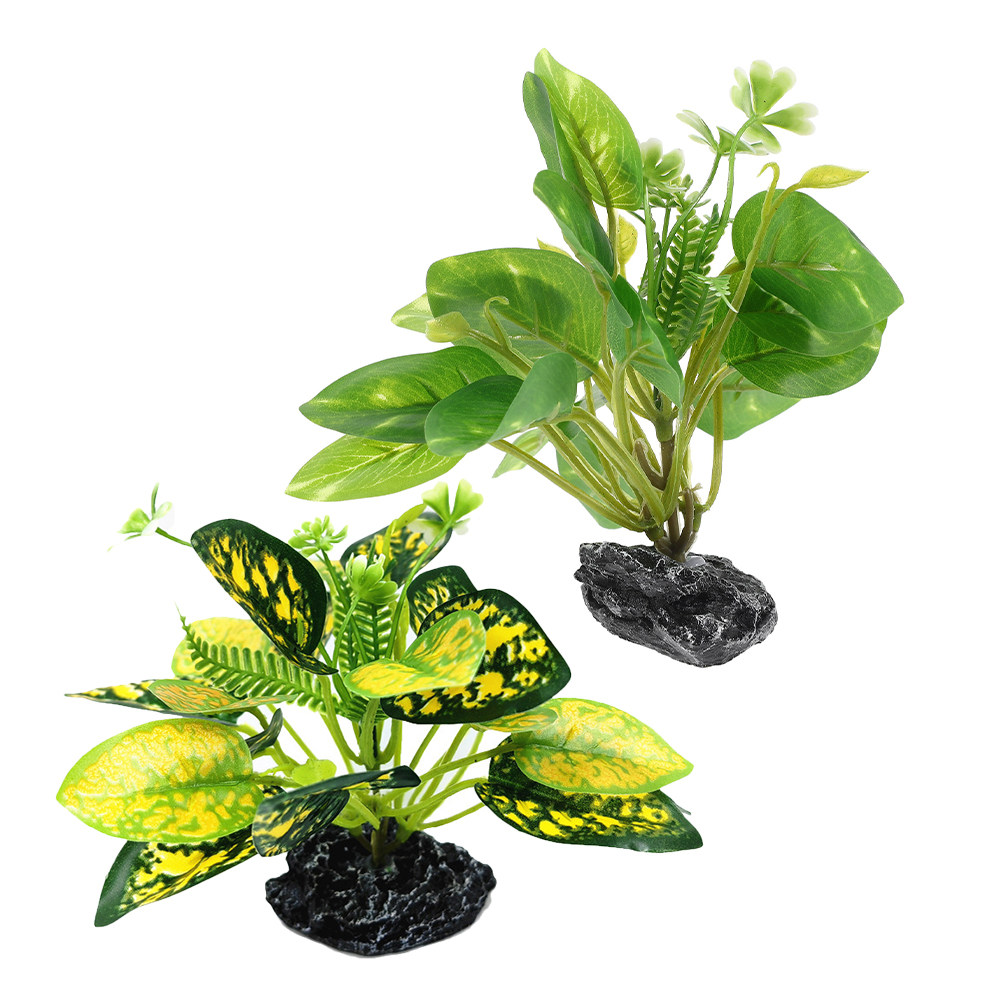 2 Pezzi di Piante Acquatiche F - Aquarium Fish Low Maintenance recensione e prezzo