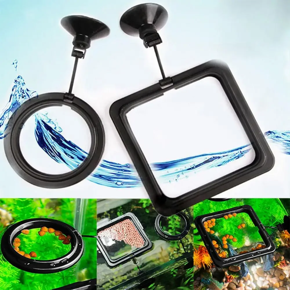 Ventosa per mangime Anello di  - Aquarium Fish Food recensione e prezzo