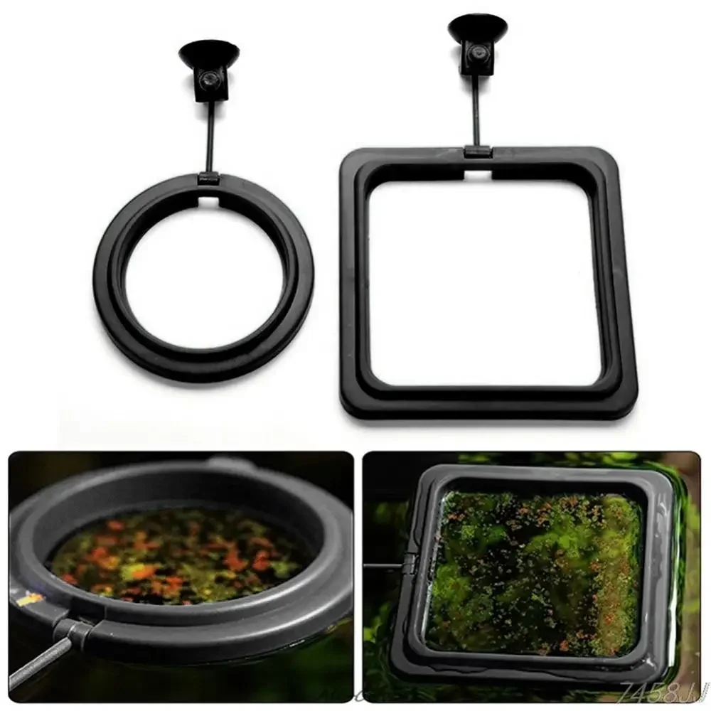 Ventosa per mangime Anello di  - Aquarium Fish Food recensione e prezzo