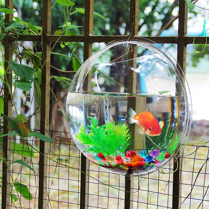 Pinsjar Ciotola per pesci in a - Aquarium Fish Jar recensione e prezzo