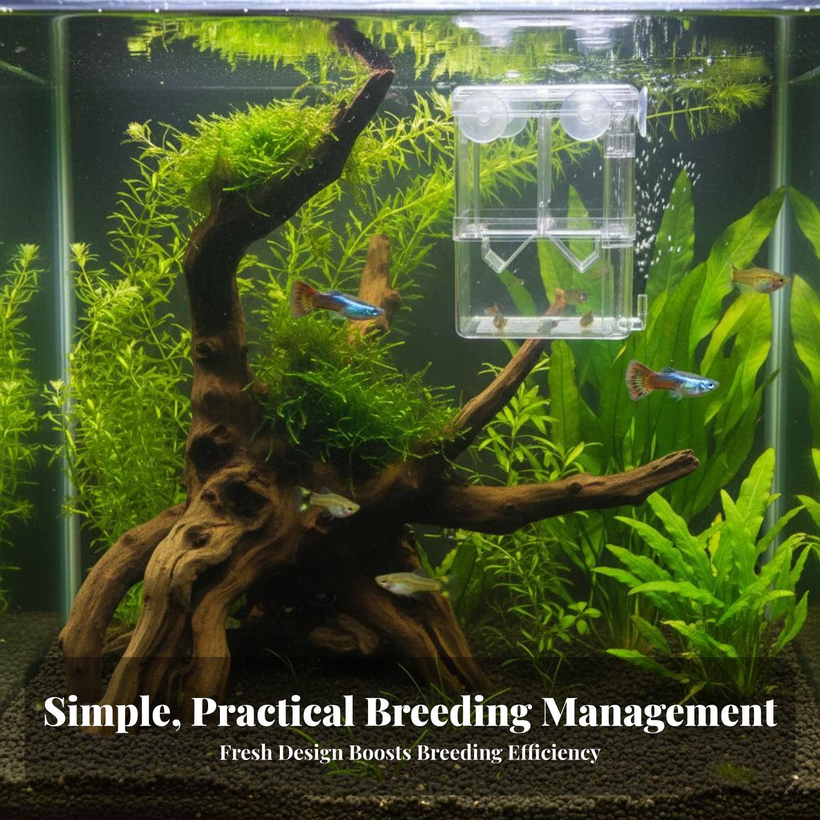 Vasca di Allevamento a Doppio  - Aquarium Fish And Supplies recensione e prezzo