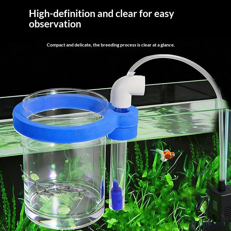 Scatola Trasparente in Acrilic - Aquarium Fish Jar recensione e prezzo