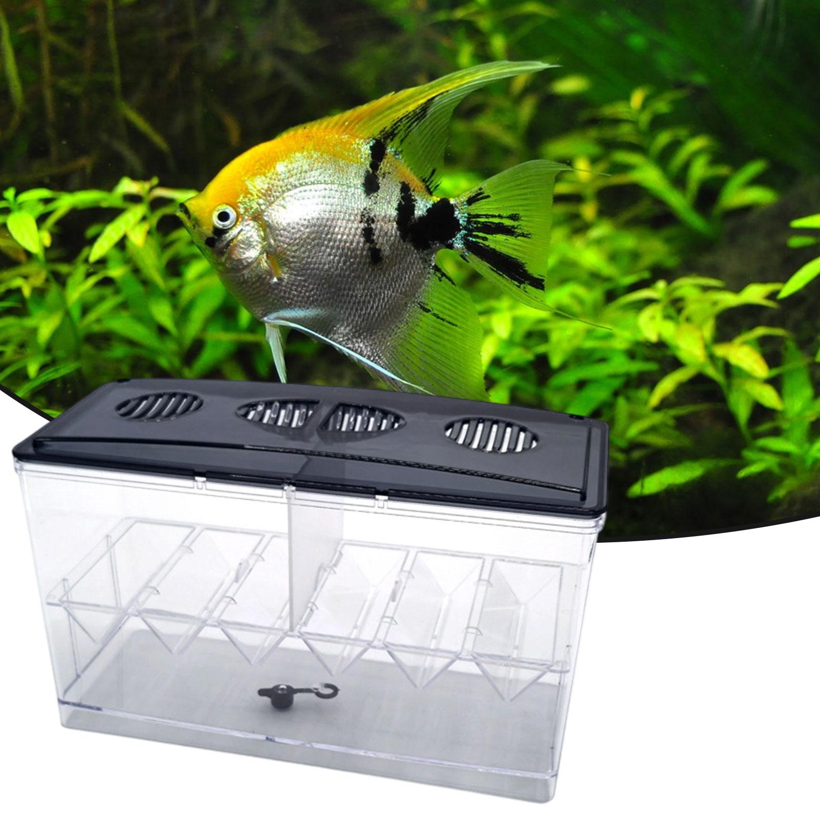 Scatola isolante galleggiante  - Aquarium Fish Jar recensione e prezzo
