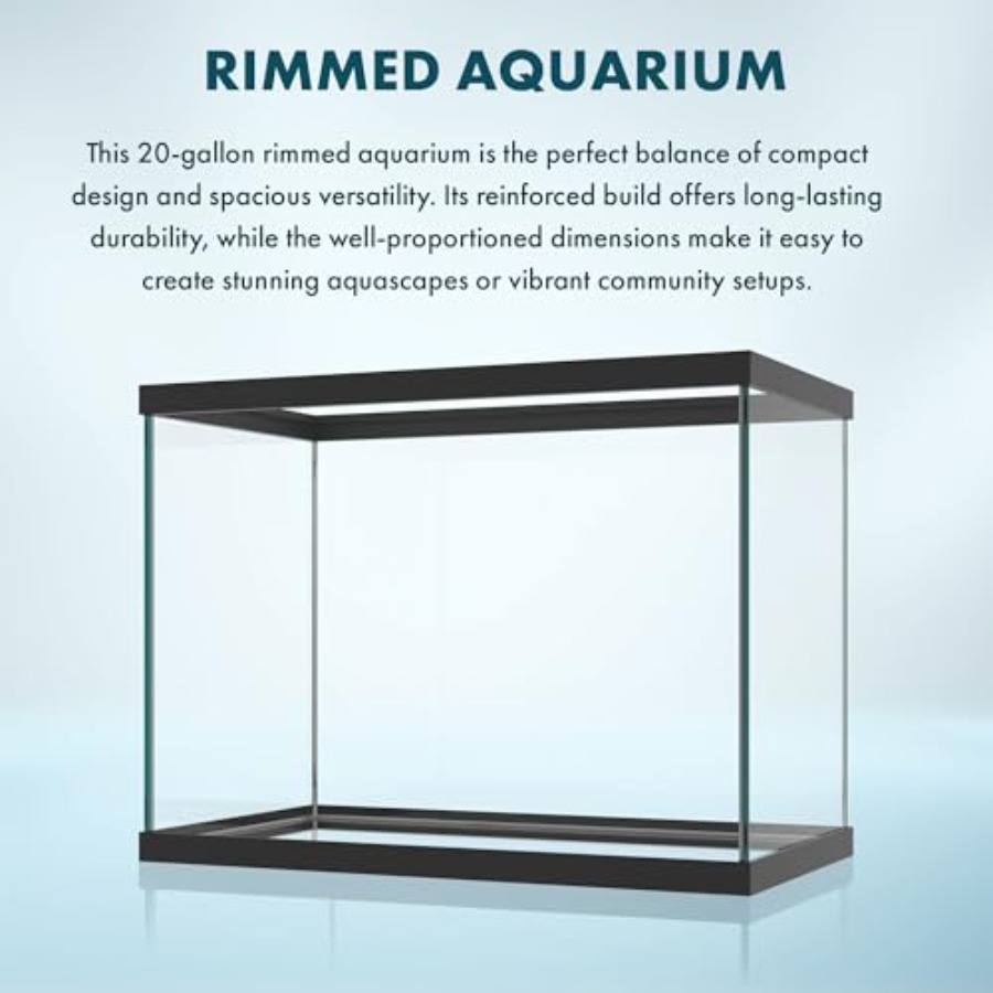 Acquario in vetro da 20 gallon - Aquarium Xxl recensione e prezzo